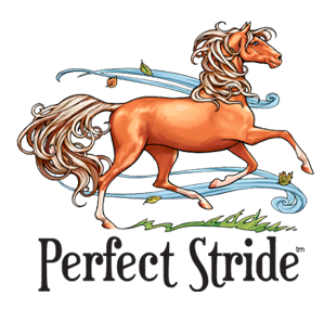 Perfect Stride™ The Horse Card Game
